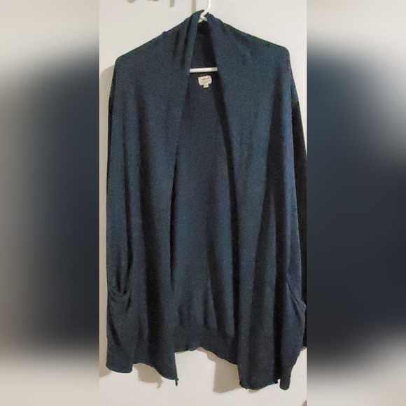 Aritzia Wilfred Flaubert Blue and Black - Picture 1 of 11